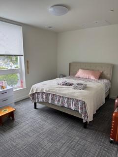 Refreshed bedroom with new carpet, paint and blinds after a residential remodel